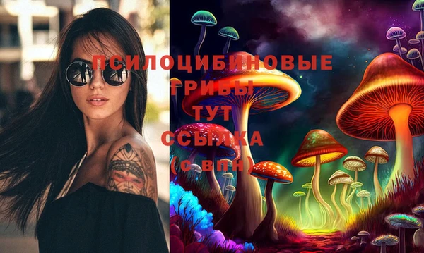 ешки Алзамай