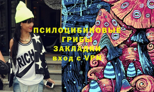 хмурый Алексеевка