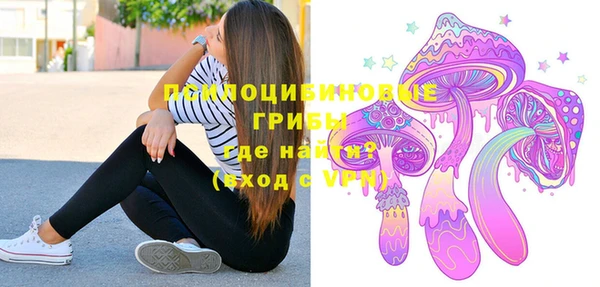 ешки Алзамай